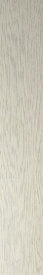 ROBLE - Imagen 4