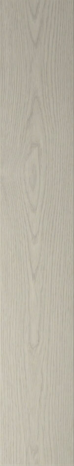 ROBLE - Imagen 2